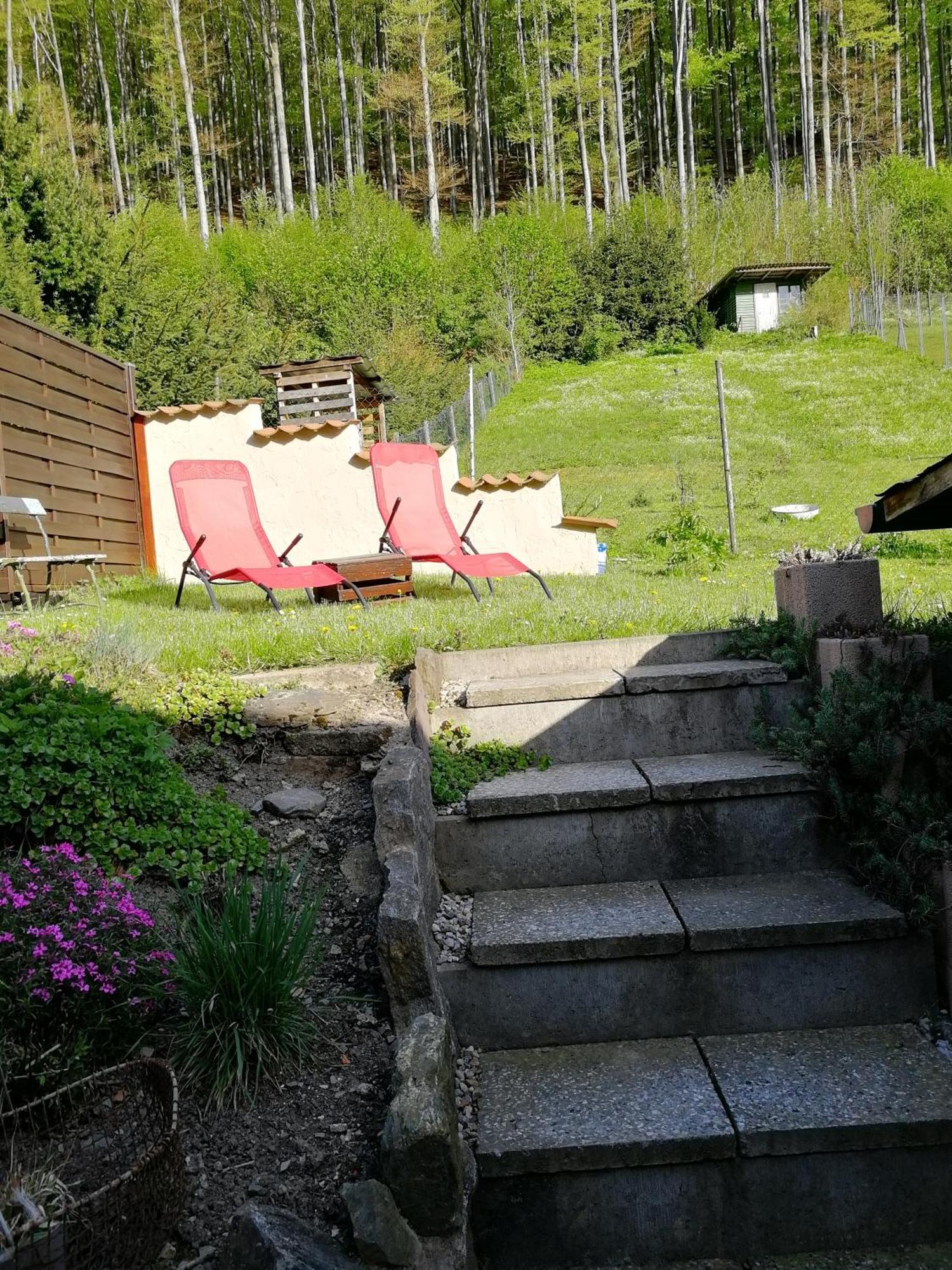 Rosaly Apartment Stolberg i. Harz